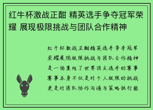 红牛杯激战正酣 精英选手争夺冠军荣耀 展现极限挑战与团队合作精神